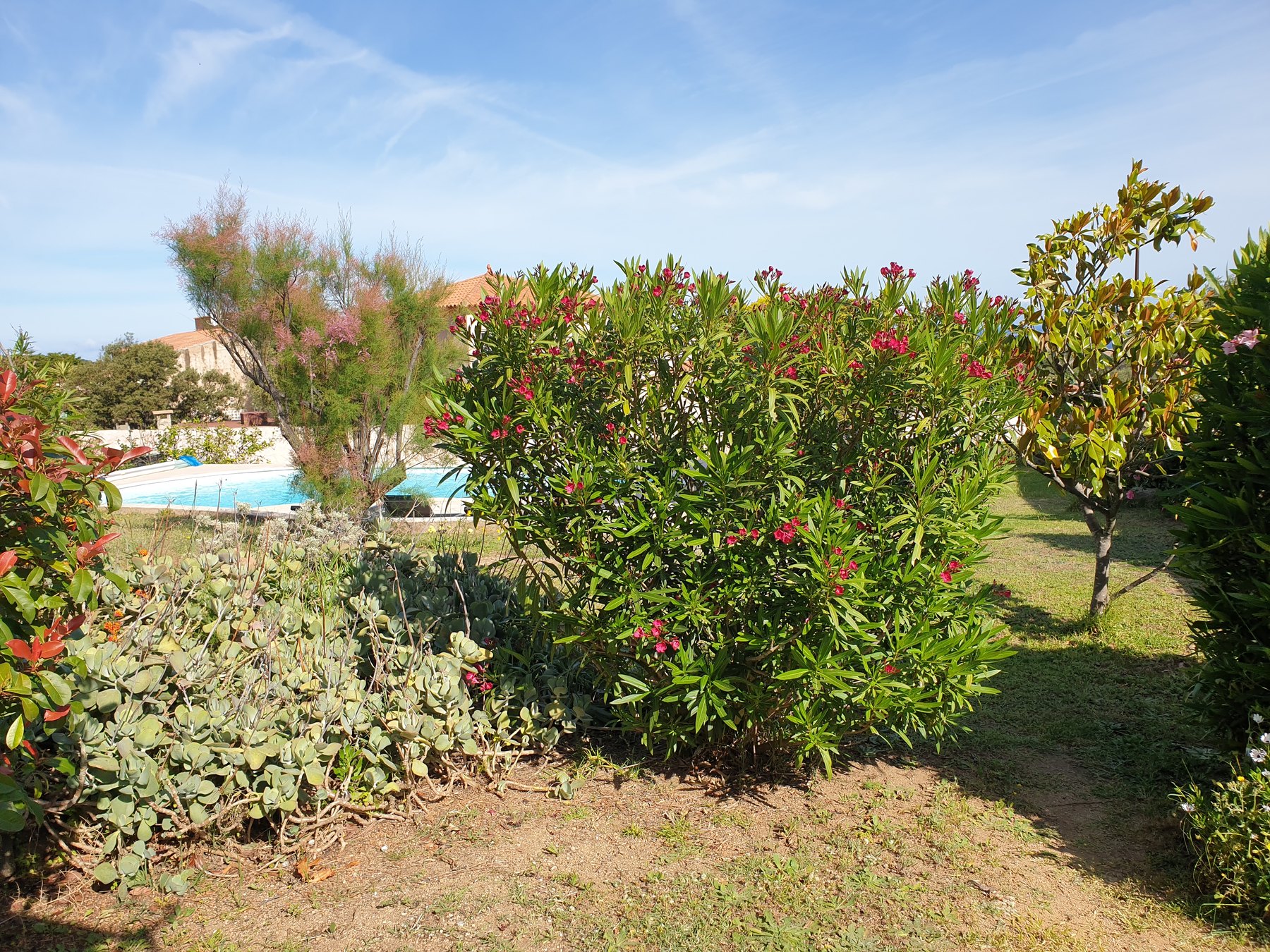 Jardin de NewJade